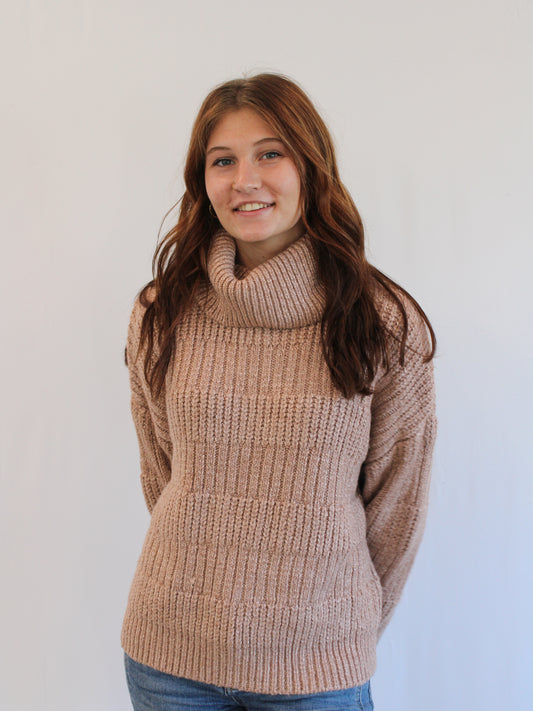 HAILEIGH TURTLE NECK SWEATER