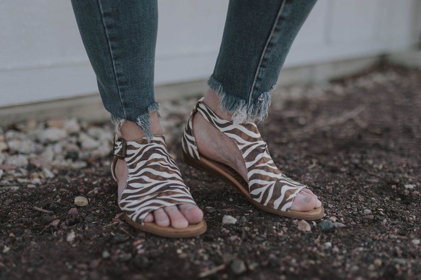 LIBBE ZEBRA PRINT CANVAS SANDAL